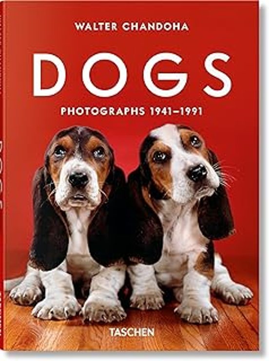 Walter Chandoha. Dogs. Photographs 1941-2013