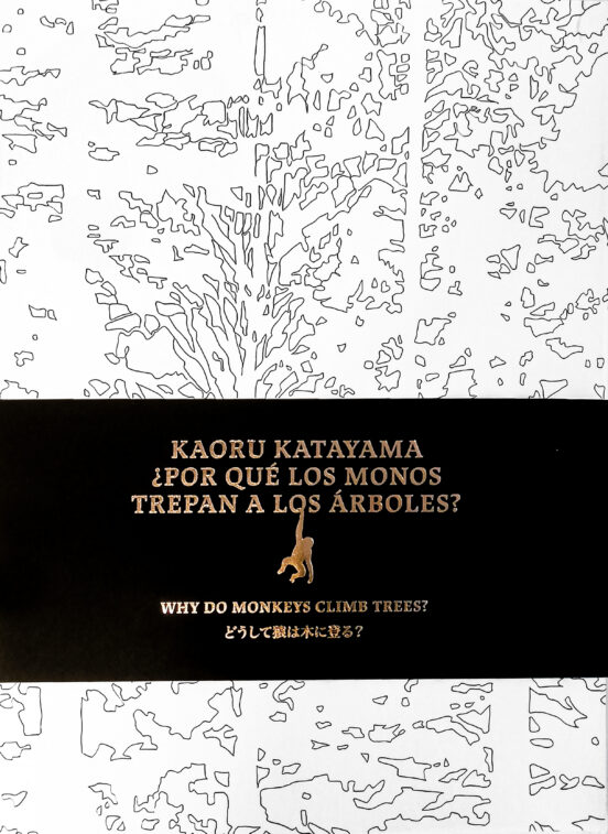 Kaoru Katayama ¿Por Qué Los Monos No Trepan A Los Árboles?