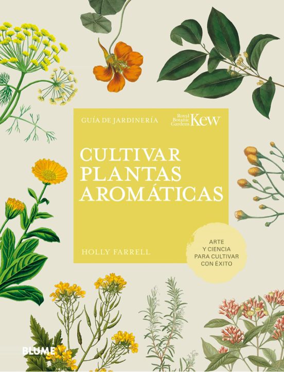 Cultivar Plantas Aromaticas: Guia De Jardineria