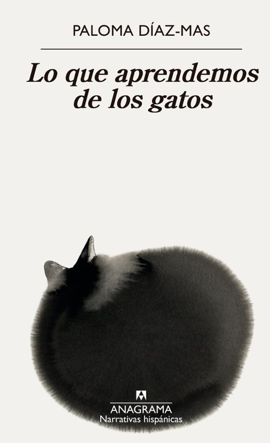 Lo Que Aprendemos De Los Gatos