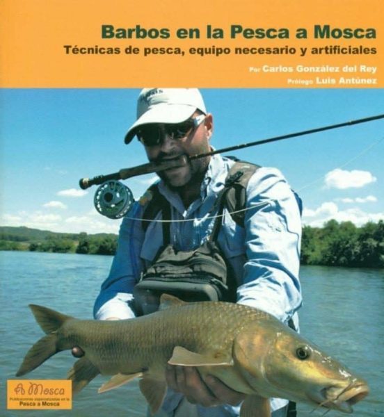 Barbos en la Pesca a Mosca