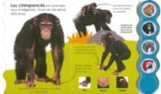 En el Zoo: Botones Divertidos