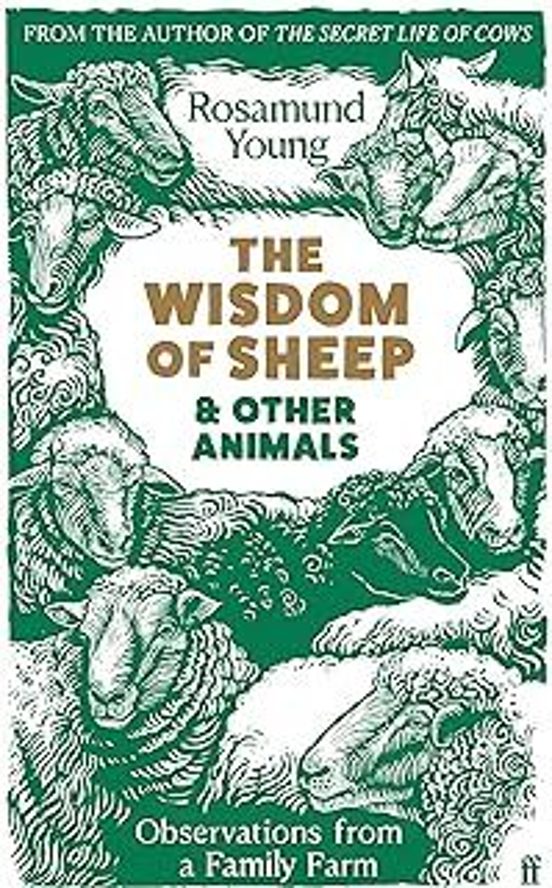 The Wisdom Of Sheep & Other Animals: Observations From A Family Farm