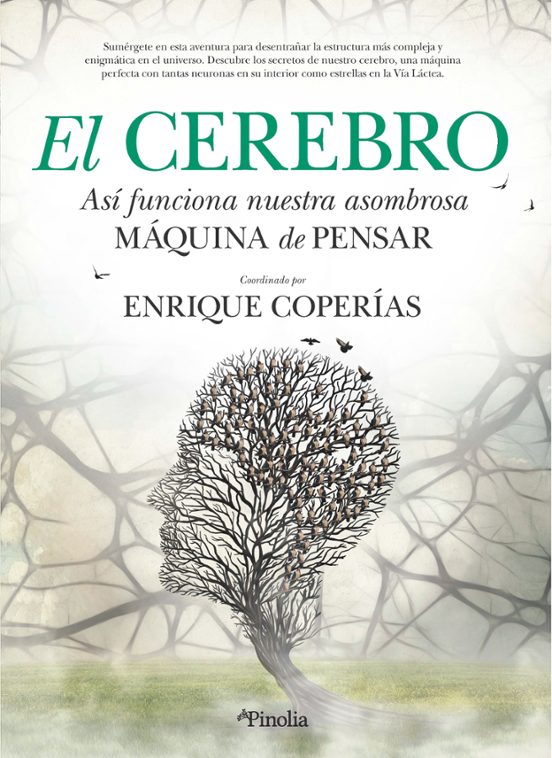 El Cerebro