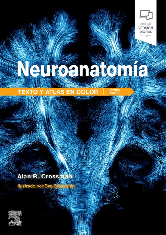 Neuroanatomía