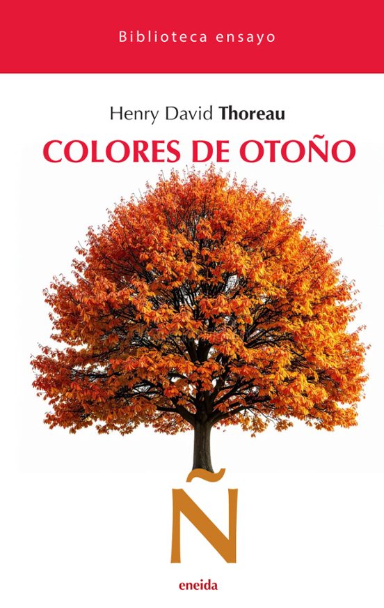 Colores De Otoño