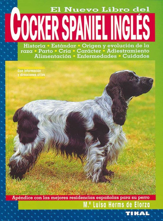 El Nuevo Lobro Del Cocker Spaniel Ingles