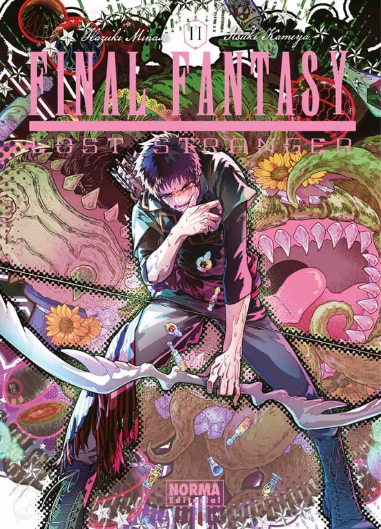 Final Fantasy Lost Stranger 11