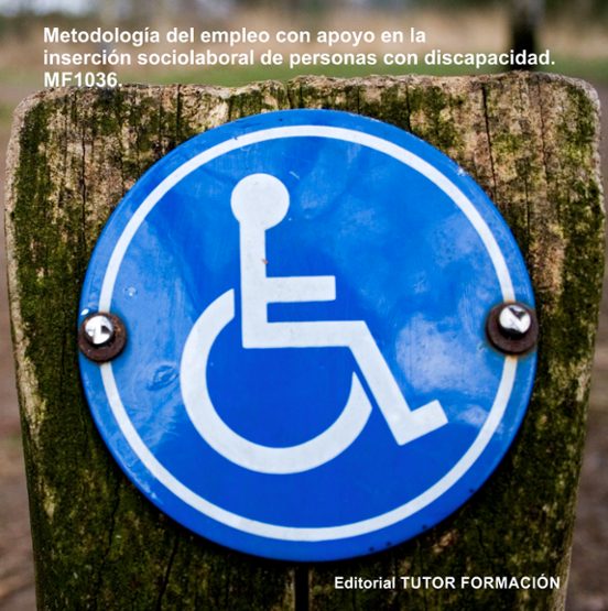 Metodologia De Empleo Con Apoyo En La Insercion Sociolaboral De P Erso
