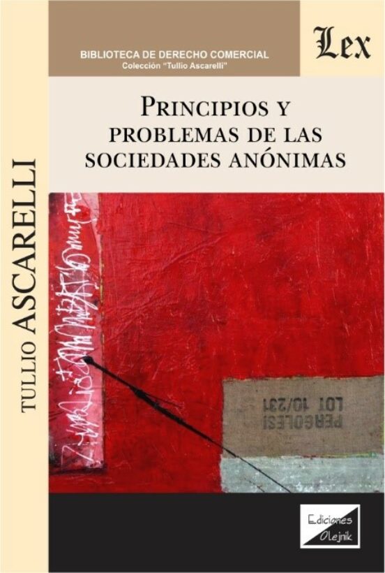 Principios Y Problemas De Las Sociedades Anonimas