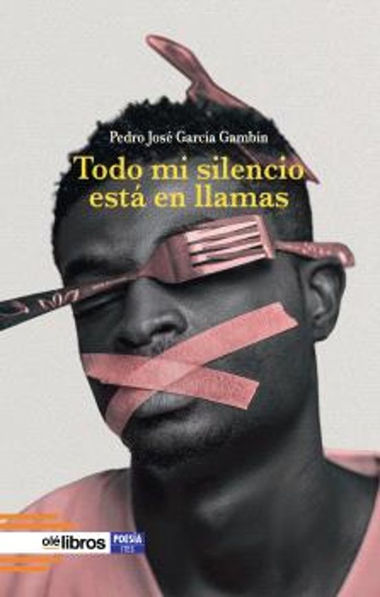 Todo mi silencio está en llamas