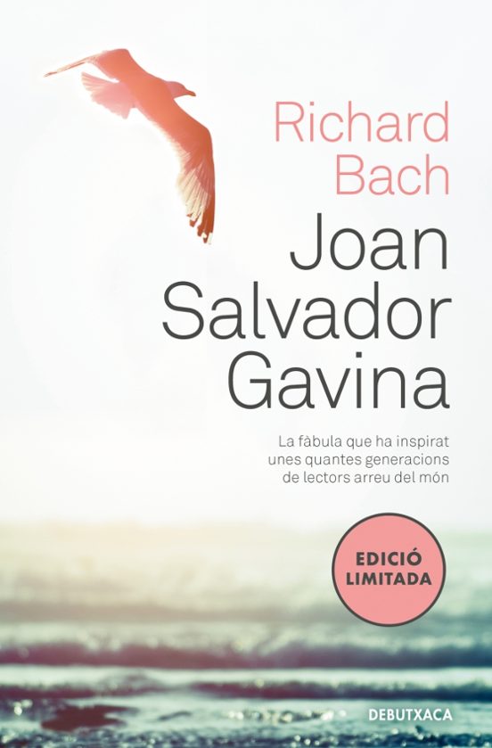 Joan Salvador Gavina