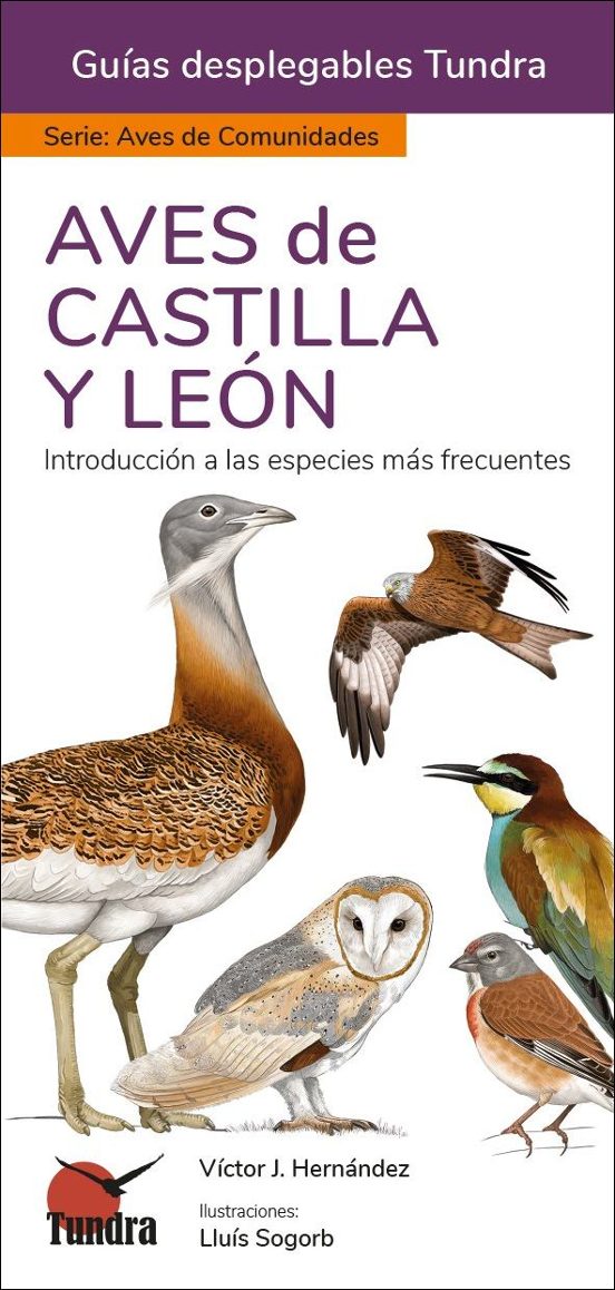 Aves De Castilla Y Leon - Guias Desplegables Tundra