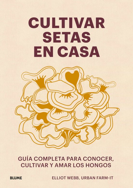 Cultivar Setas En Casa
