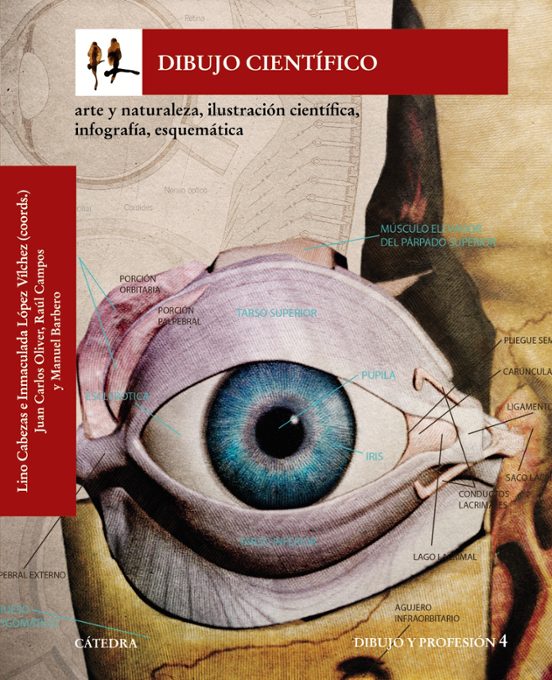 Dibujo Cientifico: Arte Y Naturaleza Ilustracion Cientifica Infografia