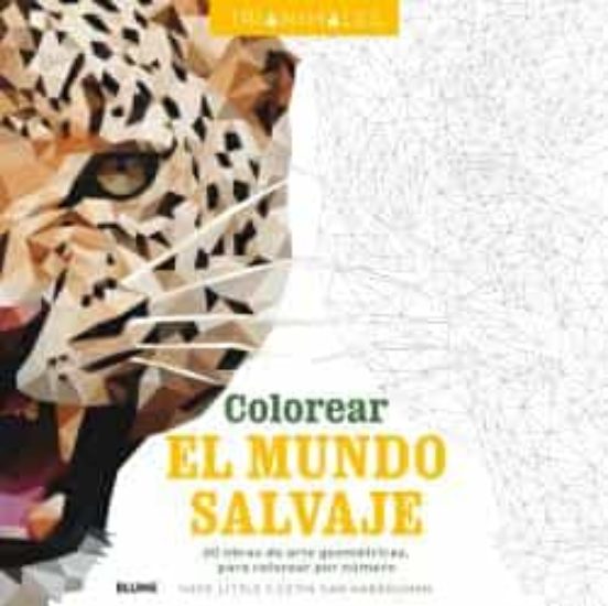 Colorear El Mundo Salvaje : 60 Obras De Arte Geometricas