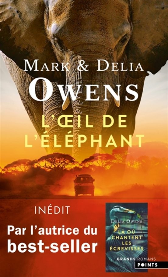 L Oeil De L Éléphant