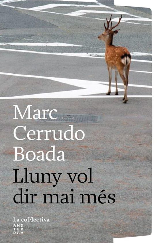 Lluny Vol Dir Mai Mes