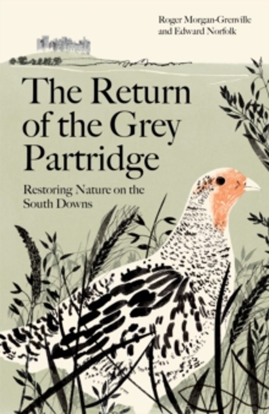 The Return Of The Grey Partridge