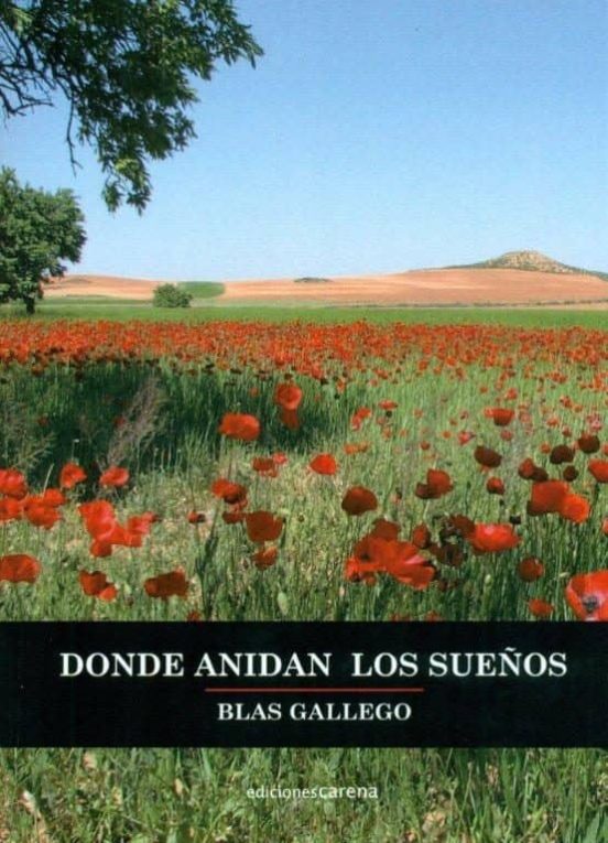 Donde Anidan Los Sueños