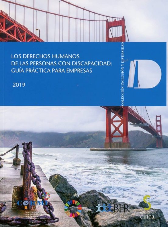 Los Derechos Humanos De Las Personas Con Discapacidad: Guía Práctica Para Empresas 2019