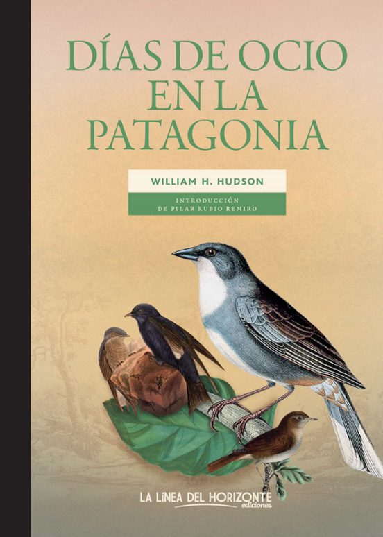Días De Ocio En La Patagonia