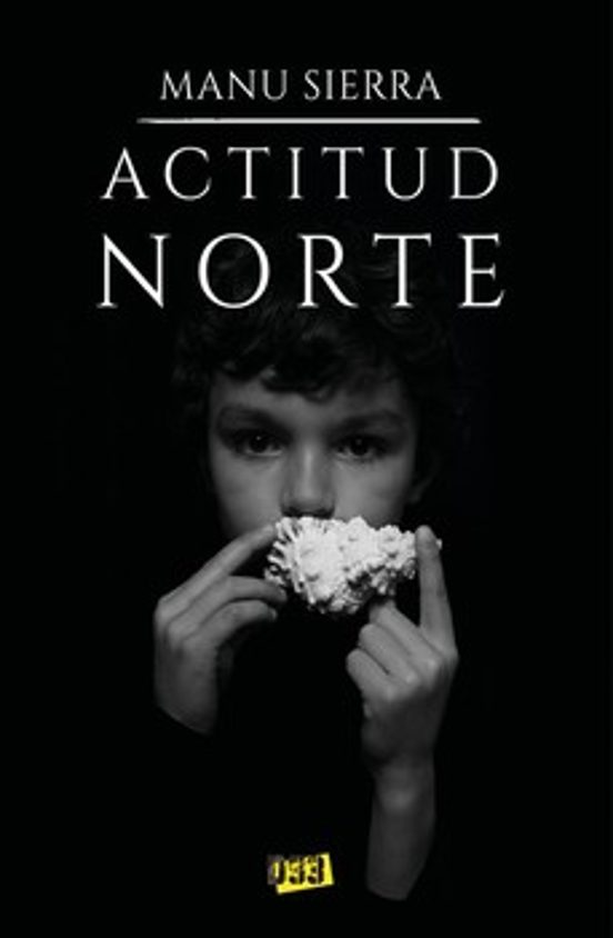 Actitud Norte