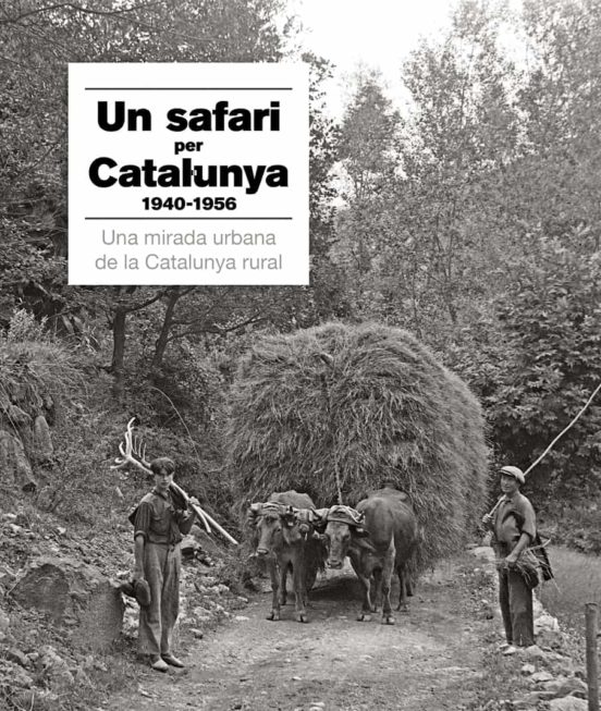 Un Safari Fotogràfic Per Catalunya