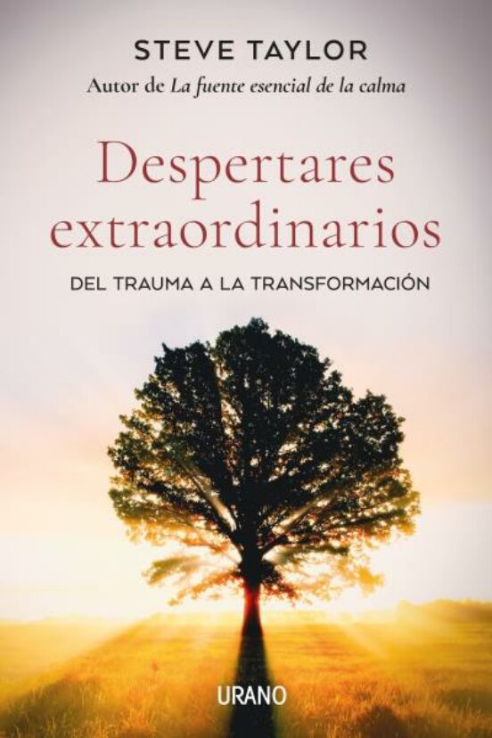 Despertares Extraordinarios Del Trauma Conduce A La Transformacion