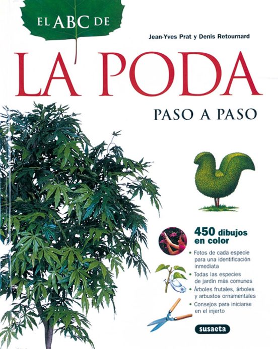 El Abc De La Poda: Paso A Paso