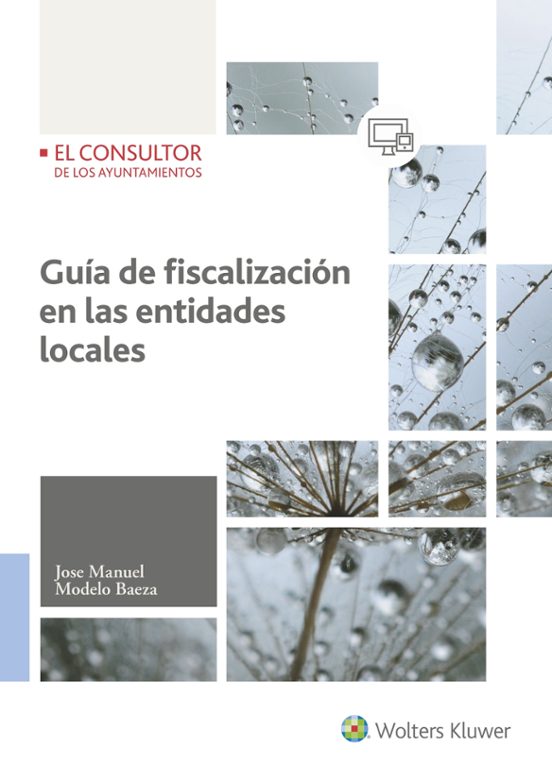 Guía De Fiscalización En Las Entidades Locales
