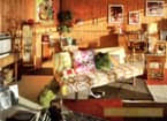 Mickalene Thomas: Something You Can Feel