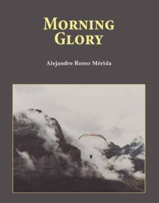 Morning Glory
