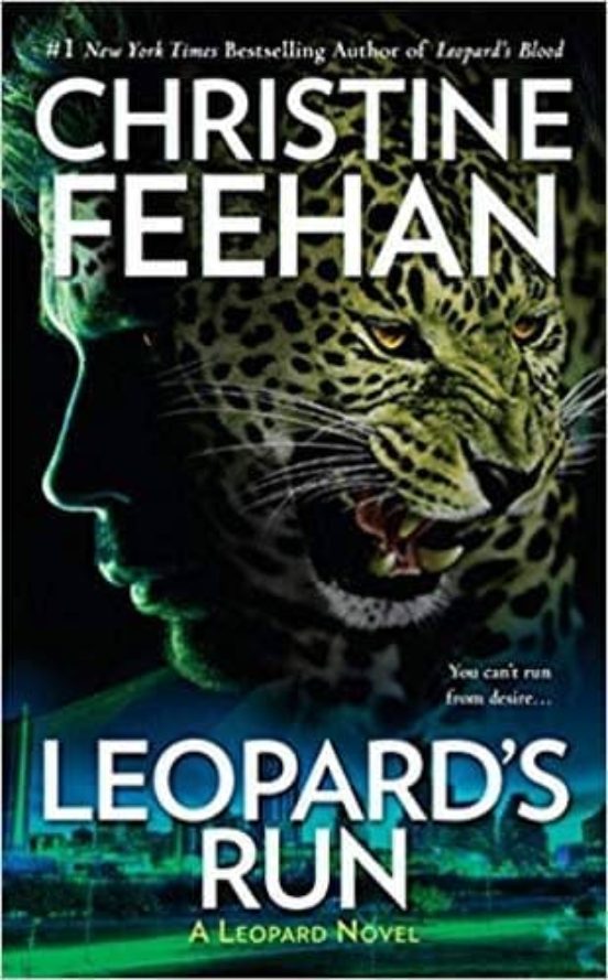 Leopard S Run