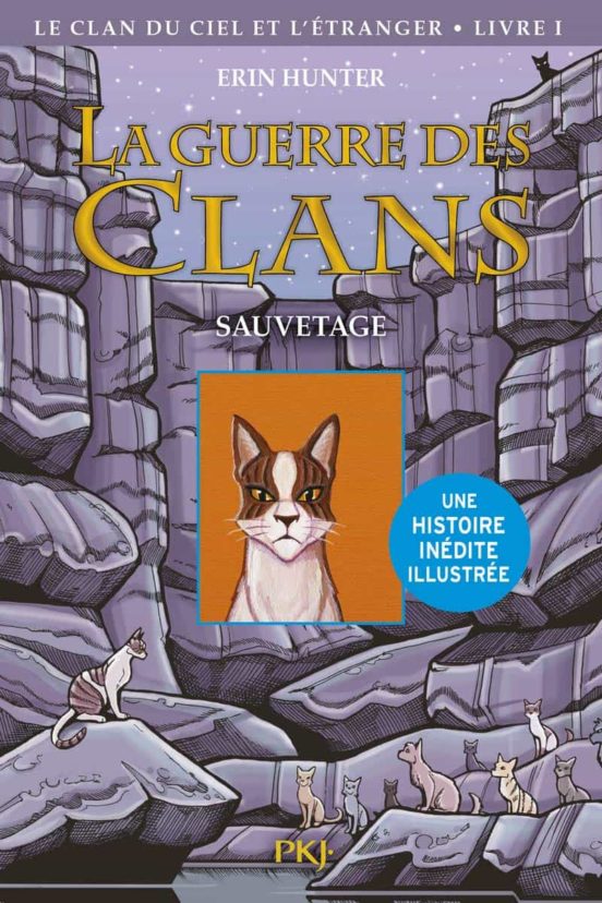 La Guerre Des Clans Illustree Cycle Iv - Tome 1 Le Clan Du Ciel E T L