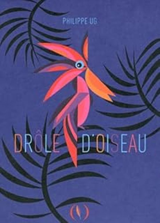 Drôle D Oiseau