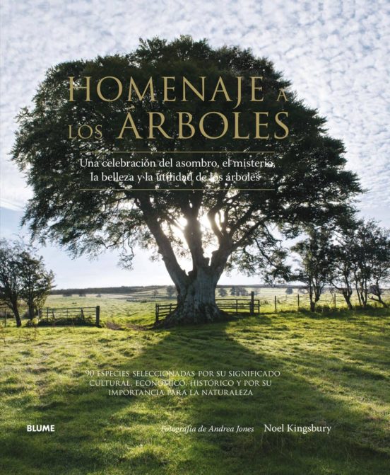 Homenaje A Los Arboles: Una Celebracion Del Asombro El Misterio La Bel