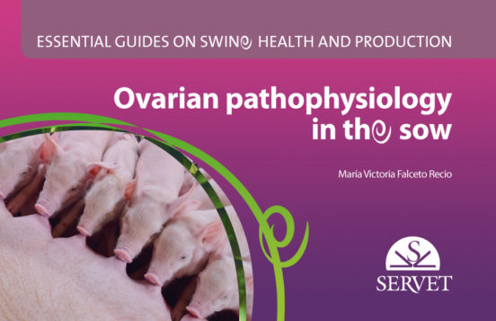 Ovarian Pathophysiology In The Sow. Essential Guides On Swine Health And Production