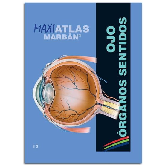 Ojo: Organos De Los Sentidos