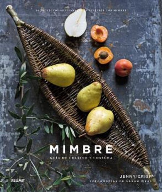 Mimbre: 20 Proyectos Artesanales De Cesteria Con Mimbre
