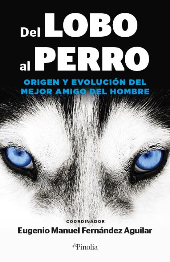 Del Lobo Al Perro: Origen Y Evolucion Del Mejor Amigo Del Hombre