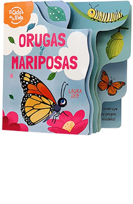 Orugas Y Mariposas: El Ciclo De La Vida