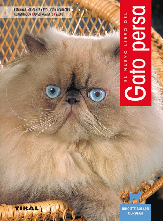 Gato Persa