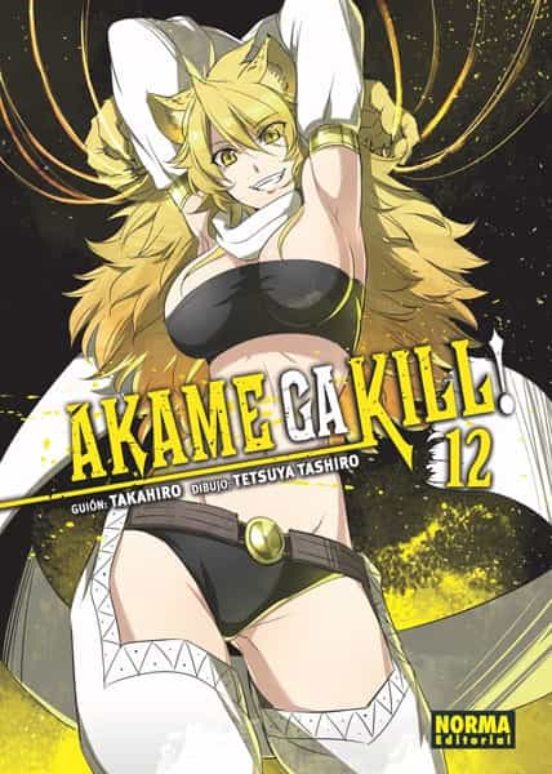 Akame Ga Kill! 12