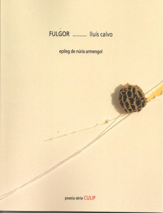 Fulgor