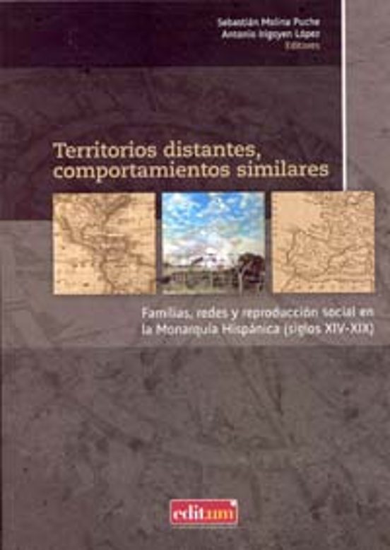 Territorios Distantes Comportamientos Similares: Familias Redes Y Repr