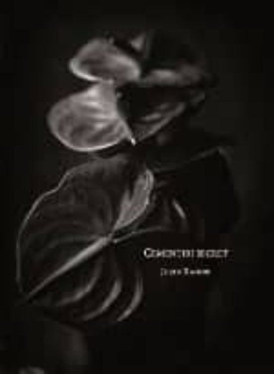 Cementiri Secret