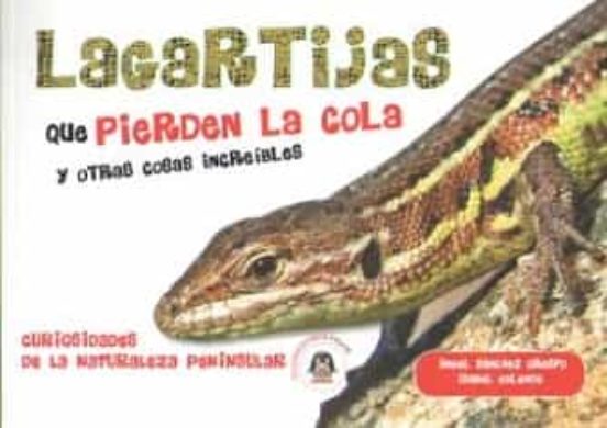 Lagartijas Que Pierden La Cola Y Otras Cosas Increibles