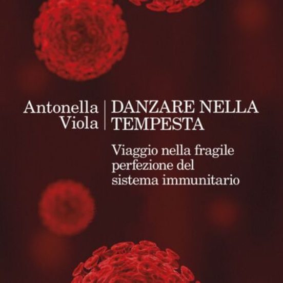 Danzare Nella Tempesta