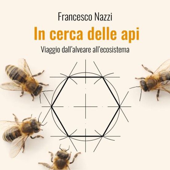 In Cerca Delle Api